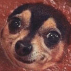 Meet your Posher, Jin